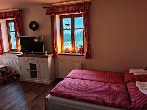 Český RudolecMatějovec 109 & Ubytování Na statku的一间卧室设有一张床、一台电视和窗户。