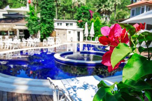 马尔马里斯Joya Del Mar Hotel的前方的游泳池,有红花