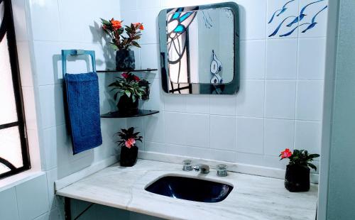圣保罗Deck Hostel Congonhas的浴室设有水槽、镜子和植物