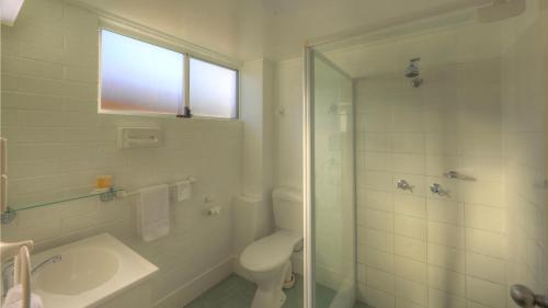 史丹霍普The Vines Motel & Cottages的浴室配有卫生间、盥洗盆和淋浴。
