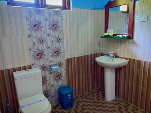 锡吉里亚Hungry Lion Resort的一间带卫生间和水槽的浴室