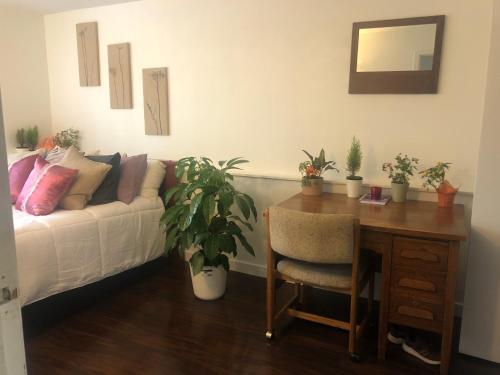 温哥华Quiet-comfy 3 bedroom home on a tree lined street in Kits的客厅配有沙发和植物书桌