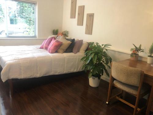 Quiet-comfy 3 bedroom home on a tree lined street in Kits的休息区