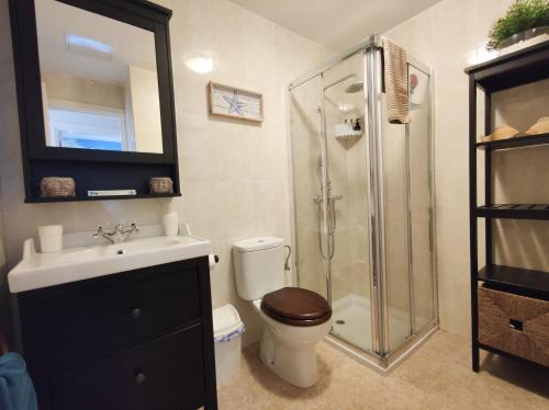法马拉Casa Chinijo的浴室配有卫生间、盥洗盆和淋浴。