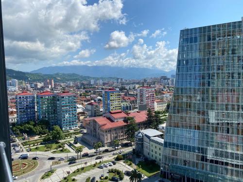 巴统Apartment In Porta Batumi Tower的城市空中景观和建筑