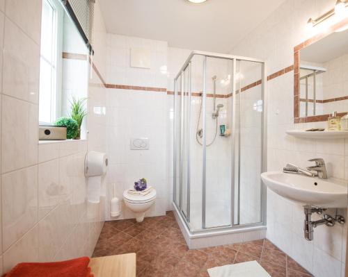 弗拉绍萨尔茨堡贺夫公寓的带淋浴、卫生间和盥洗盆的浴室