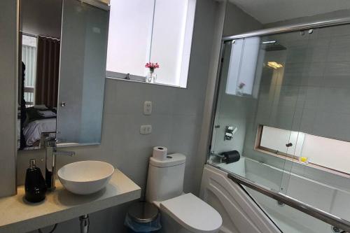 瓦拉斯Diego&Sergio3 Apartment Rivero Jacuzzi Piso3的一间带卫生间、水槽和镜子的浴室