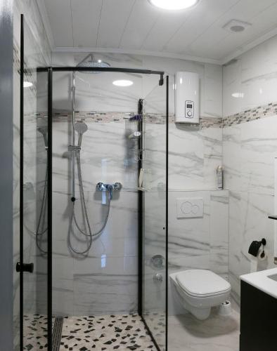 达姆施塔特Apartment-EG-09的带淋浴和卫生间的浴室