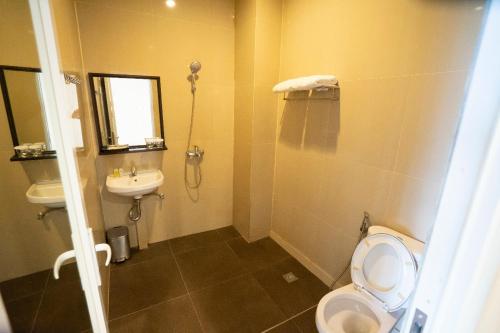 邦加槟港邦加城市酒店 的一间带卫生间和水槽的浴室
