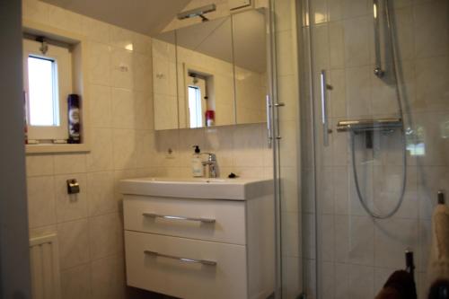 DrijberBoerderij Chalet的一间带水槽和淋浴的浴室