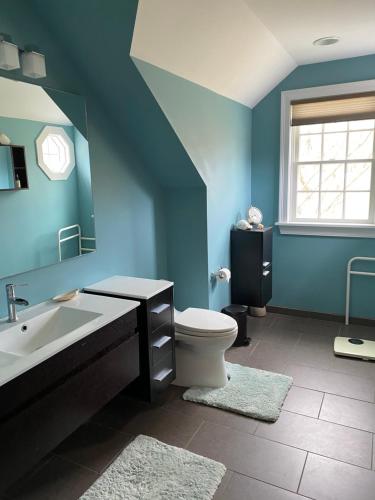 SpringfieldWild Trails Farm的蓝色的浴室设有卫生间和水槽