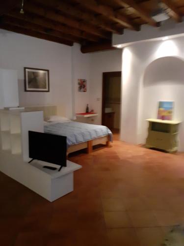曼托瓦Agriturismo Cipolli e Podò Corte Carlini的一间卧室配有一张床和一台电视。