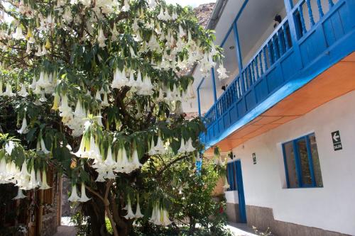 奥兰太坦波拉斯珀尔特达斯旅馆的建筑物前有白色花的树