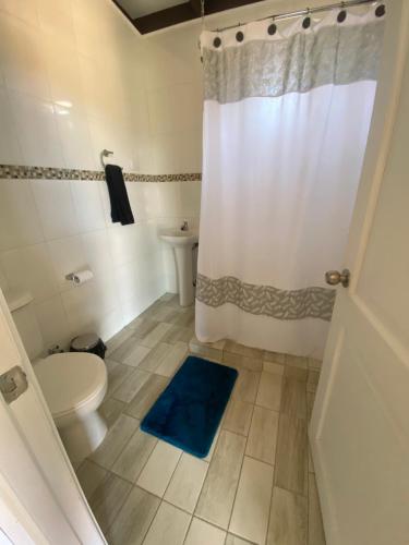 康塞普西翁Ecoraleo的浴室设有卫生间和带蓝色地毯的淋浴。