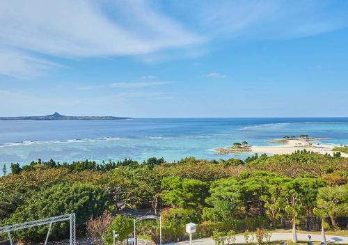 本部Royal View Hotel Churaumi的享有海洋和海滩的空中景致