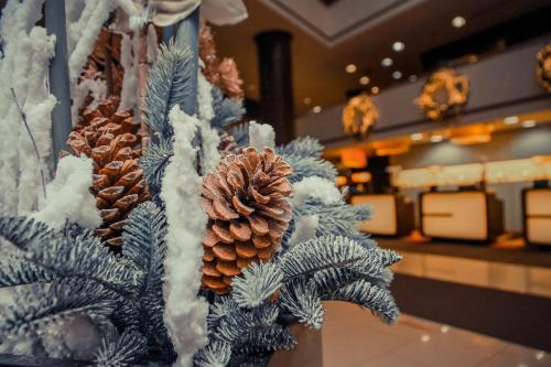 莫斯科莫斯科奥林匹克阿兹姆酒店的商店里松锥的圣诞树