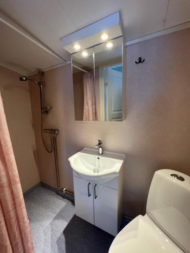 SmedjebackenSmedens Stugby的浴室设有白色水槽和镜子