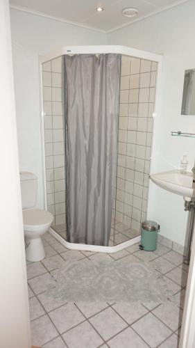 BørglumBørglum Mejeri Hotel的带淋浴、卫生间和盥洗盆的浴室