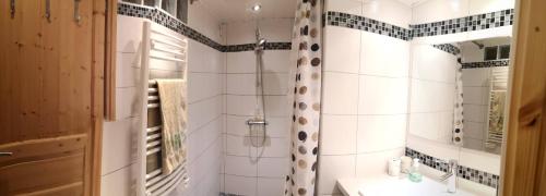 布拉尼亚克Suite cosy 2 chambres et sdb privative的带淋浴和盥洗盆的浴室