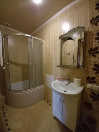 特鲁斯卡韦茨Приватна садиба的一间带水槽、淋浴和镜子的浴室