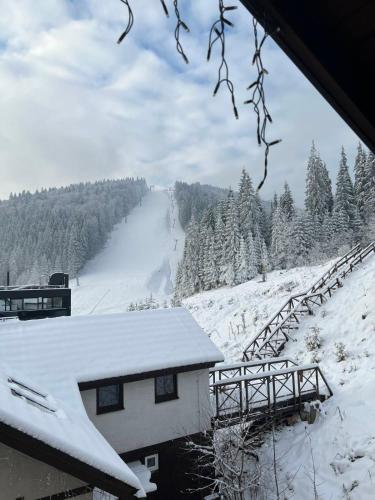 布克维Chalet Blanc的雪覆盖的屋顶,有滑雪场