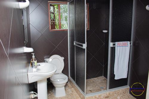 比列塔Hotel Finca Londres的浴室配有卫生间、盥洗盆和淋浴。