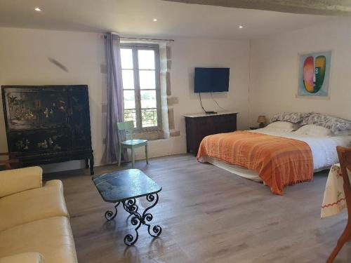 AmazyGîte du château de Chevannes的一间卧室配有一张床、一台电视和一张沙发