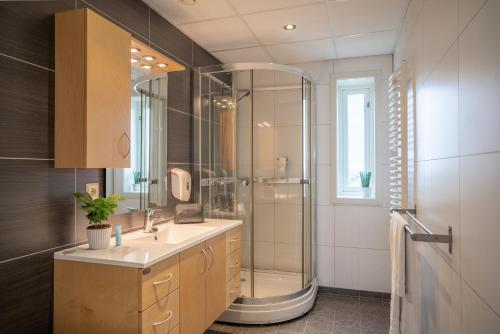 RundeRunde Miljøsenter & Opplev Runde的一间带玻璃淋浴和水槽的浴室