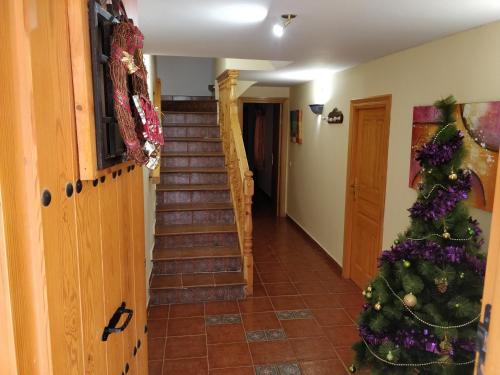 AmbelCASA RURAL EL CAIDERÓN的走廊上带有圣诞树的楼梯