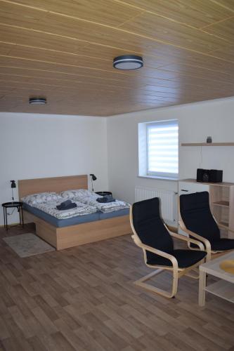 大洛西尼Penzion Víra的一间卧室配有一张床、两把椅子和一张桌子