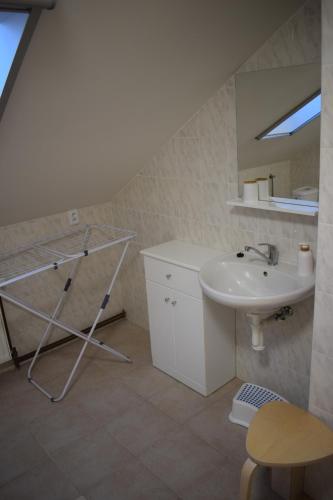 大洛西尼Penzion Víra的一间带水槽和镜子的浴室