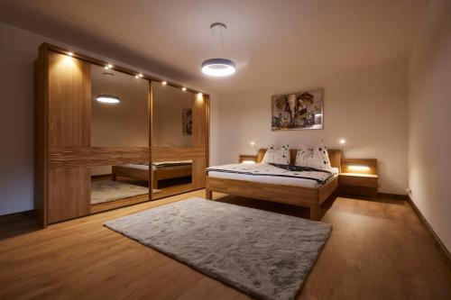 利贝雷茨Apartmány na Krásné Vyhlídce的一间卧室配有一张床、淋浴和镜子