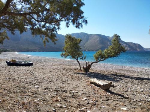 Megálon ChoríonIVISKOS House, Megalo Horio village, Tilos Island的岩石海滩上的一棵树和一艘船