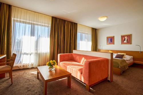 塔莱Hotel Stupka的酒店客房设有一张沙发和一张床
