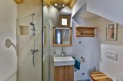 罗克Mountain Lodge Istria, Tiny house的一间带水槽和淋浴的浴室