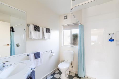 塔卡卡Anatoki Lodge Motel的浴室配有卫生间、盥洗盆和淋浴。