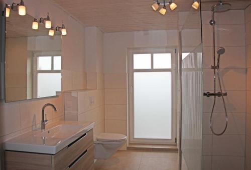 MarlowFerienhaus Polkvitz的带淋浴、盥洗盆和卫生间的浴室