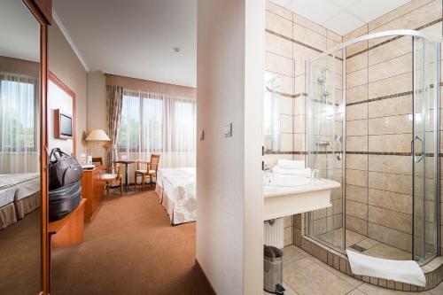 尼赖吉哈佐亚万缇诺斯酒店的客房内设有带水槽和淋浴的浴室
