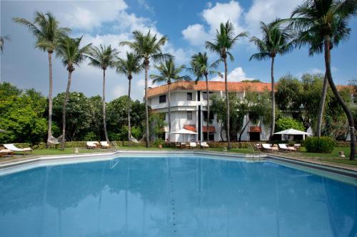钦奈特力登钦奈酒店的棕榈树建筑前的大型游泳池