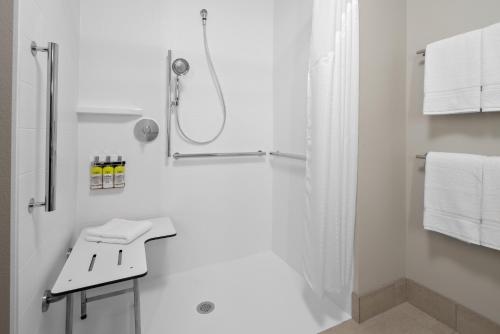 ElkhornHoliday Inn Express & Suites - Elkhorn - Lake Geneva Area, an IHG Hotel的带淋浴和盥洗盆的白色浴室