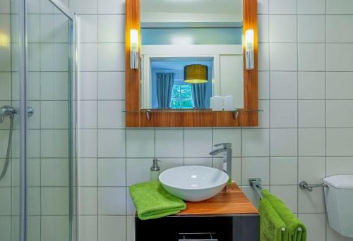 Vielbrunn基尔斯穆赫乡村酒店的一间带水槽和镜子的浴室