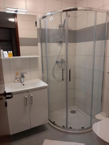 科斯塔涅维察戈斯缇娜佐尔尼尔旅馆的带淋浴和盥洗盆的浴室