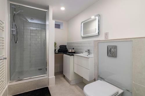 诺丁汉Garden Apartment West Bridgford的带淋浴和卫生间的浴室以及电视。