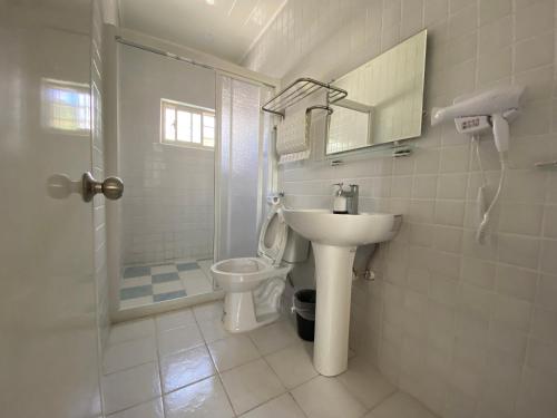 太麻里太麻里金崙線織屋背包房Line Weaving House B&B的白色的浴室设有水槽和卫生间。