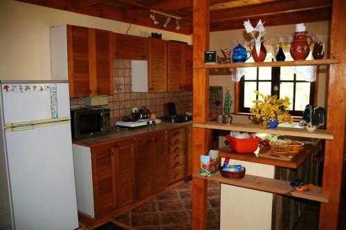 斯塔勒亚布伦基Summer House Stare Jabłonki的厨房配有木制橱柜和白色冰箱。