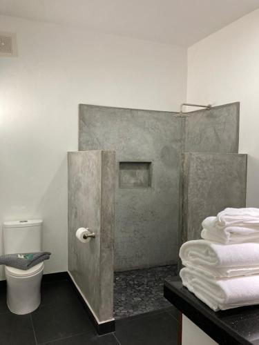 La VentanaBaja Joe's Hotel的带淋浴、卫生间和毛巾的浴室
