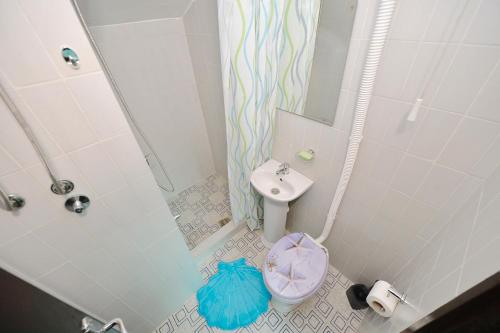 科托尔Stone house Dobrota的带淋浴、卫生间和盥洗盆的浴室