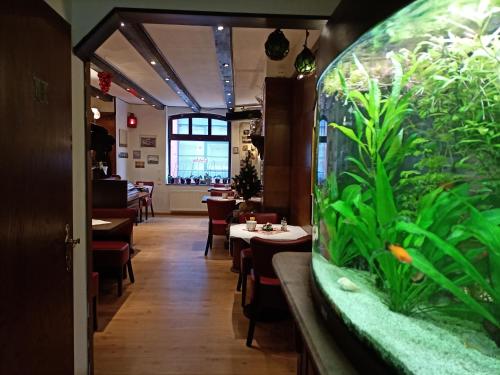 不来梅港安德尔卡尔施塔特酒店的房间中间有一间餐厅,里面有一个鱼缸