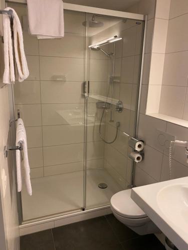 迈林根Das Hotel Sherlock Holmes的带淋浴、卫生间和盥洗盆的浴室