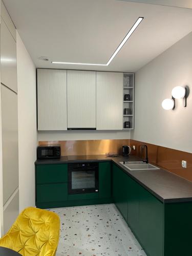 布罗德尼察Apartament Sweet Dream Longinówka的厨房配有绿色橱柜和水槽